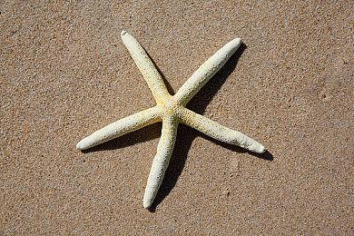   Xbox“幻境风暴”手柄国行版2月19日发售 定价499元